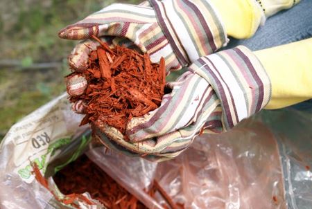 Mulching Matters: 5 Reasons Your Beds Need a Fresh Layer This Season