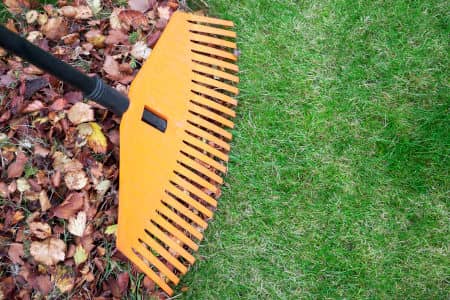 Top 4 Reasons to Schedule a Seasonal Yard Cleanup