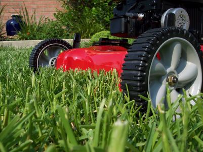 Weekly vs. Biweekly Lawn Mowing: Which Is Right for Your Yard?